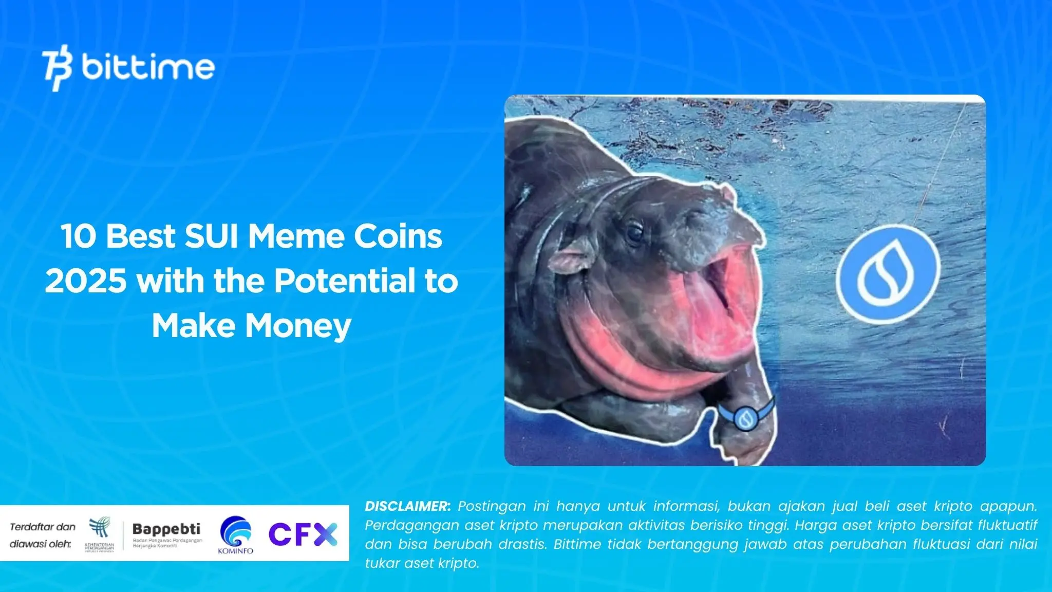 10 Best SUI Meme Coins 2025 with the Potential to Make Money