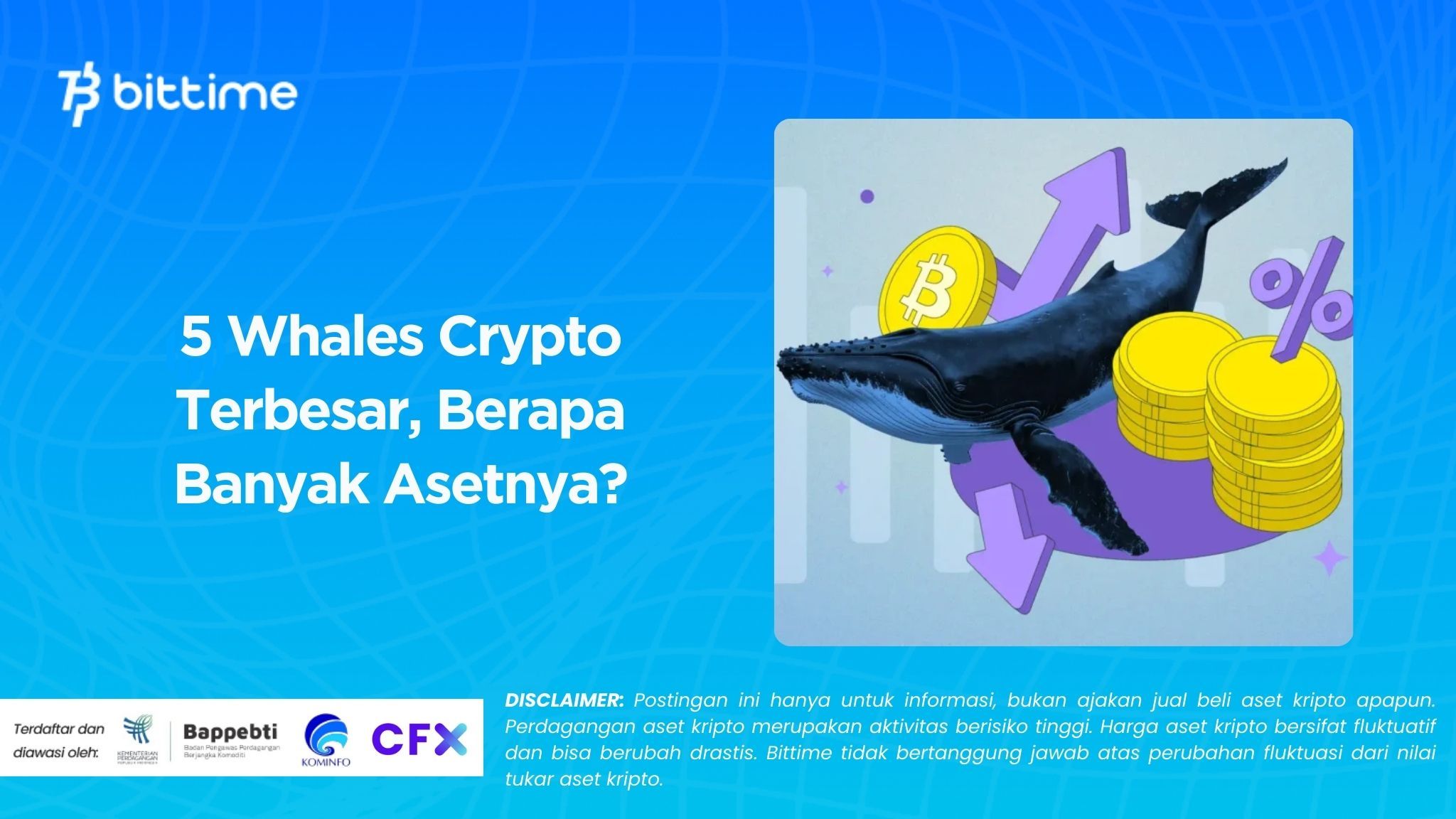 5 Whales Crypto Terbesar, Berapa Banyak Asetnya?