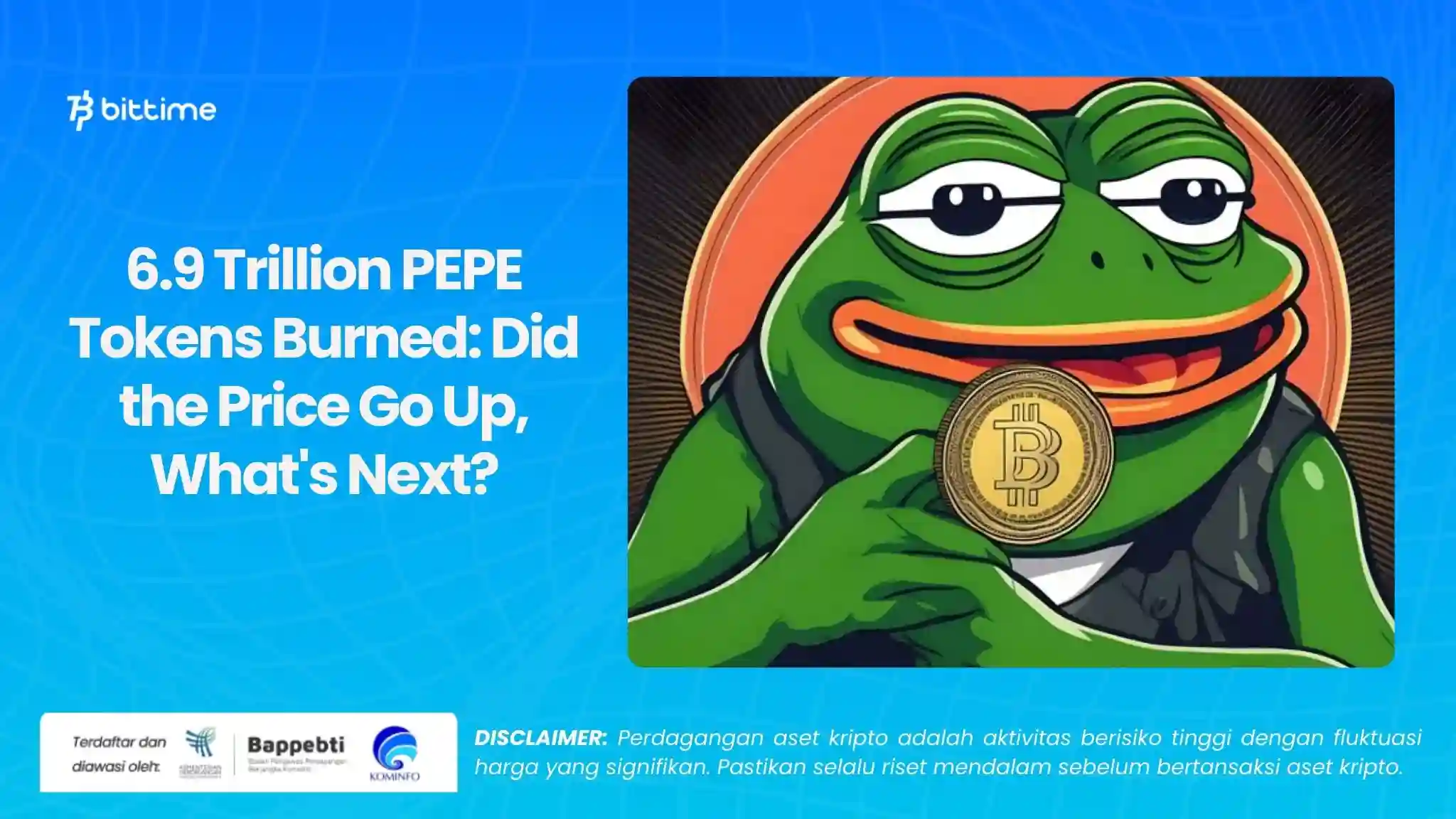 6.9 Trillion PEPE Tokens Burned Did the Price Go Up, What's Next.webp