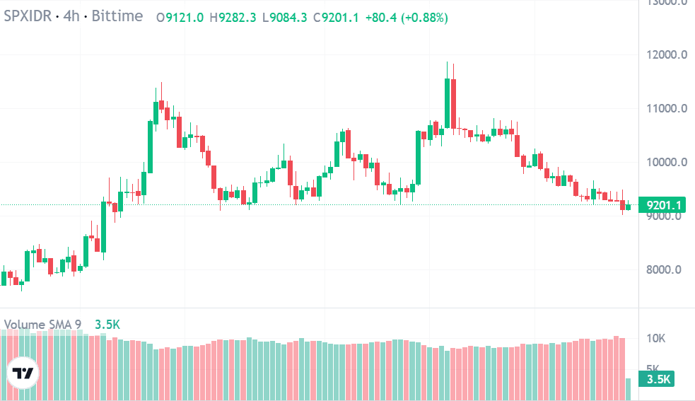 7. SPX.png
