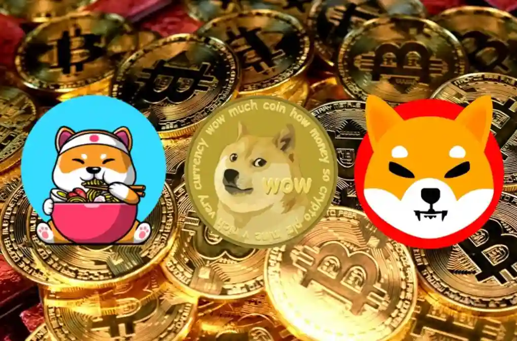 8 Memecoin Terbaik Beserta Kelebihan dan Kekurangannya di 2024 - image.webp