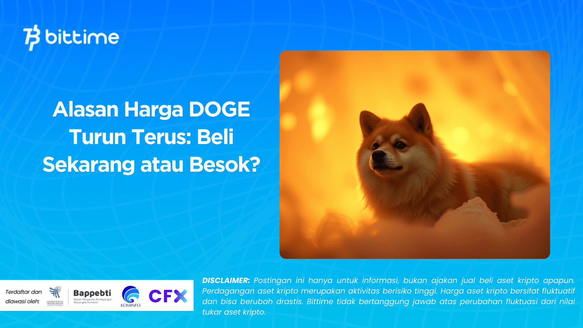 Alasan Harga DOGE Turun Terus Beli Sekarang atau Besok.png