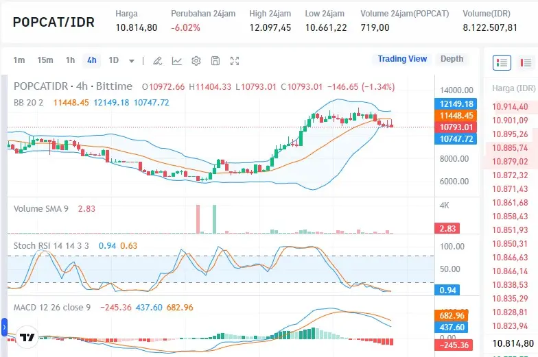 Analisis Harga Popcat.webp