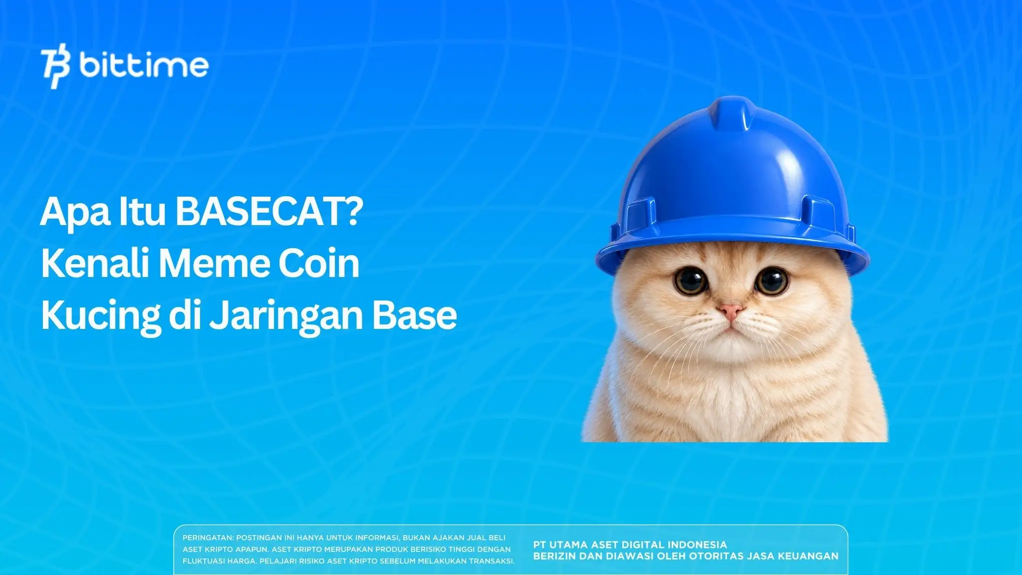 Apa Itu BASECAT? Kenali Meme Coin Kucing di Jaringan Base