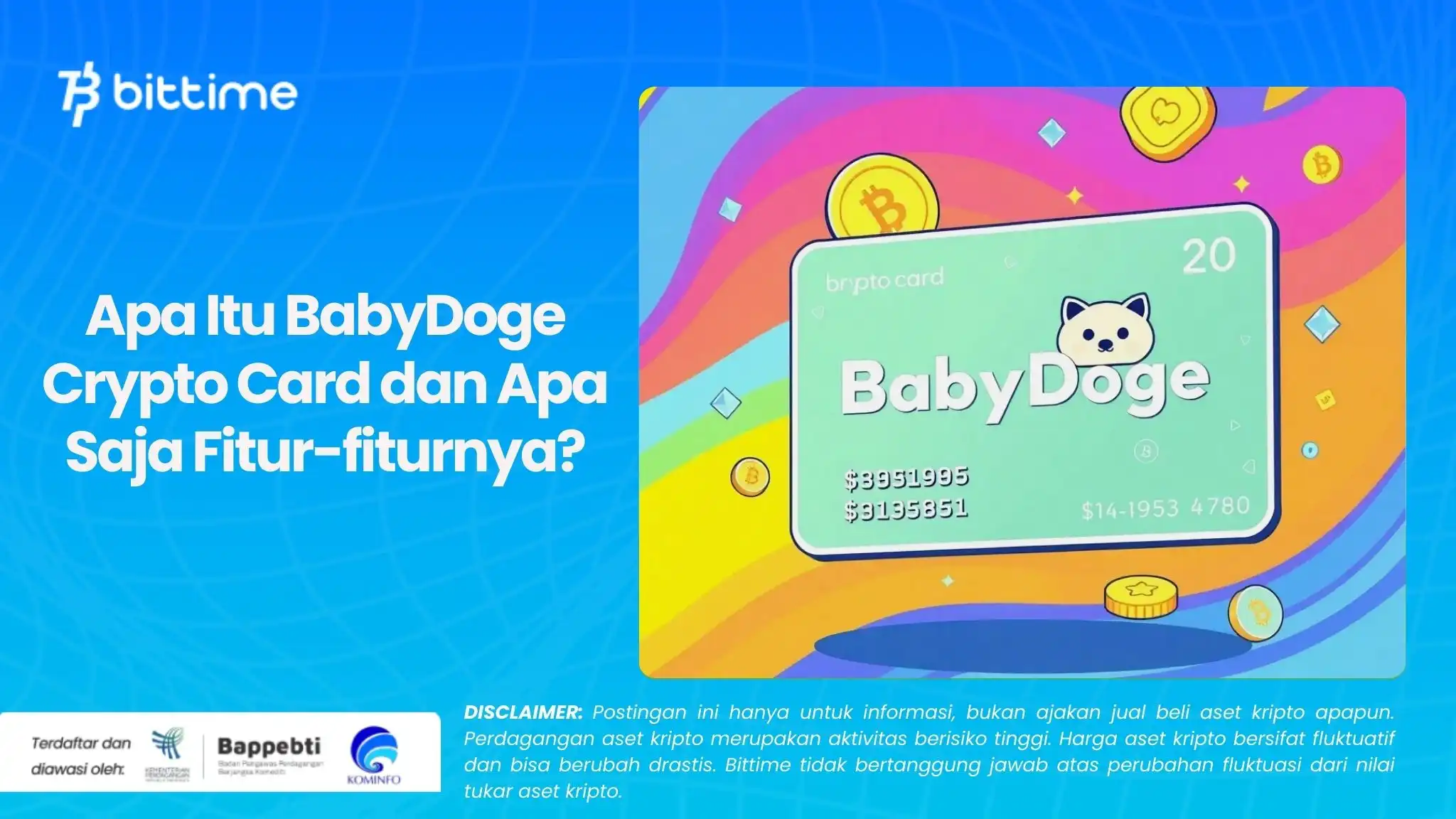Apa Itu BabyDoge Crypto Card dan Apa Saja Fitur-fiturnya?