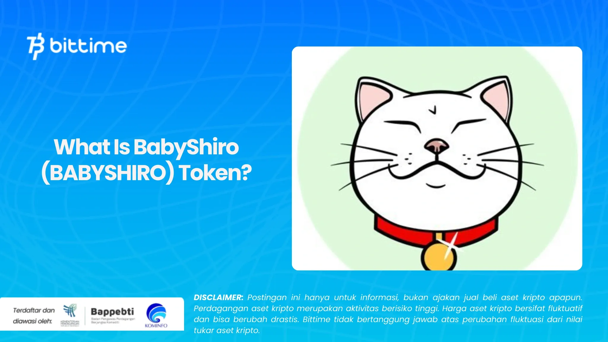 Apa Itu BabyShiro (BABYSHIRO) Token (1).webp