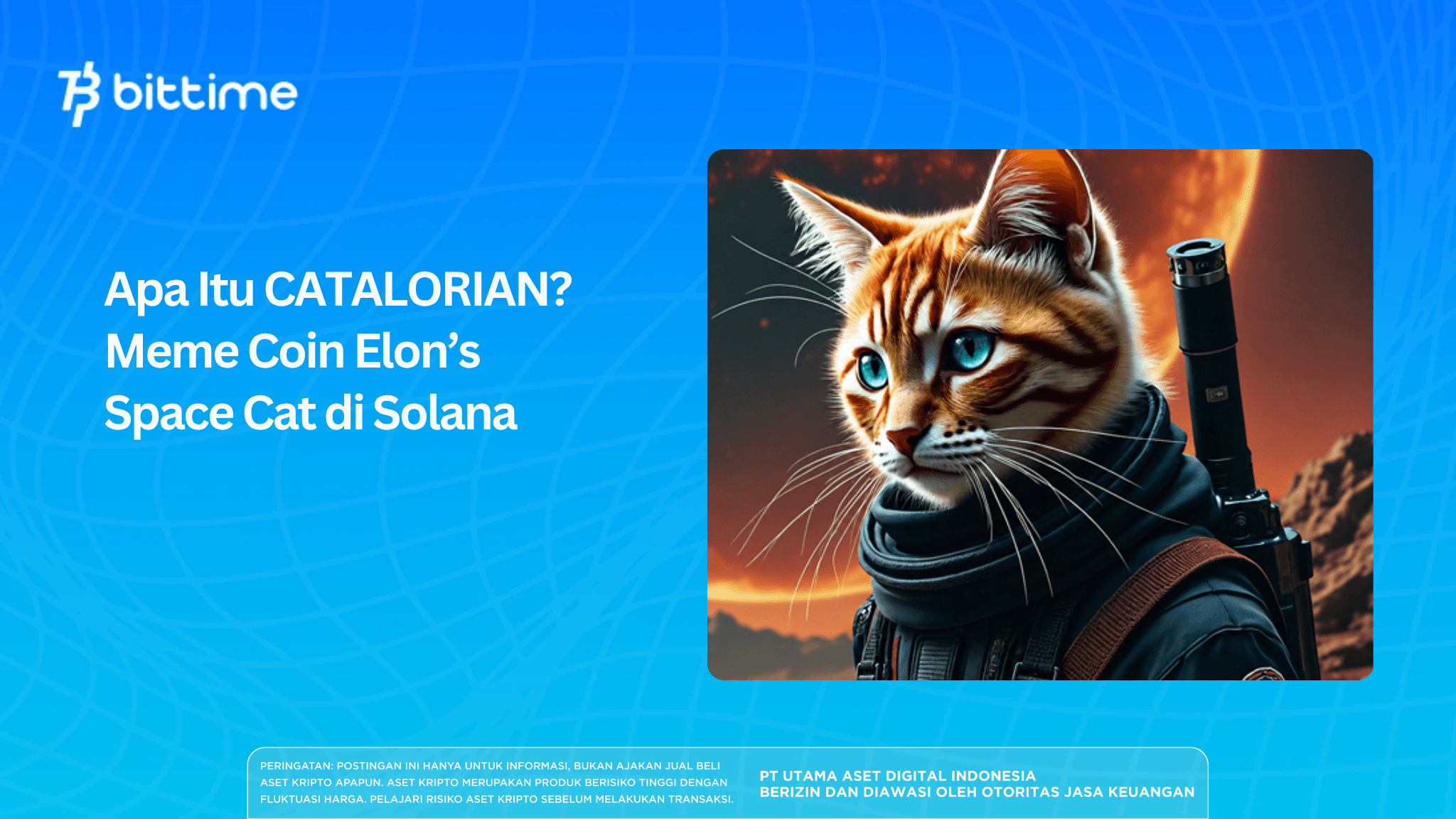 Apa Itu CATALORIAN? Meme Coin Elon’s Space Cat di Solana