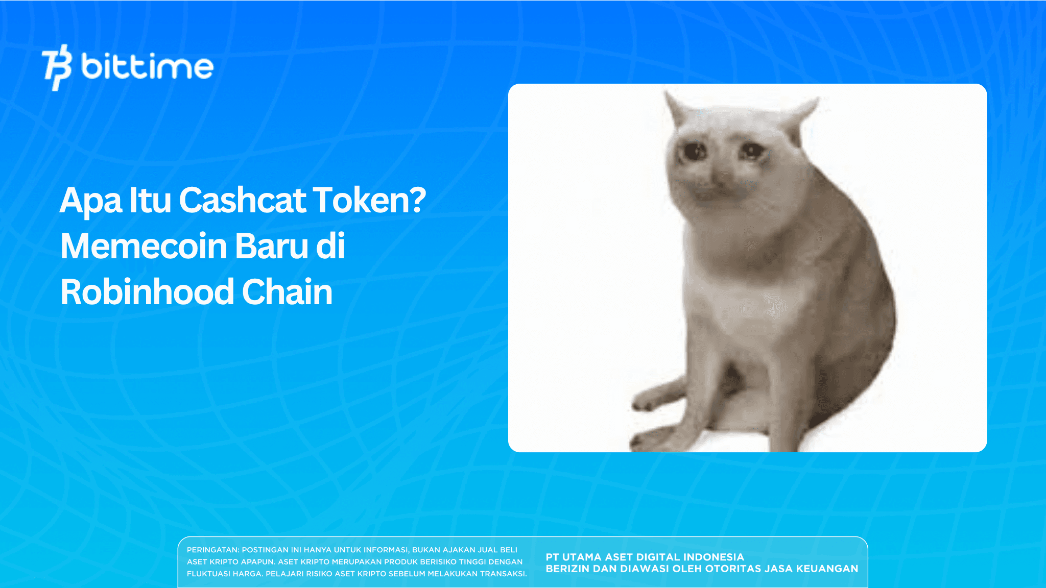 What Is Cashcat Token? A New Memecoin on Robinhood Chain
