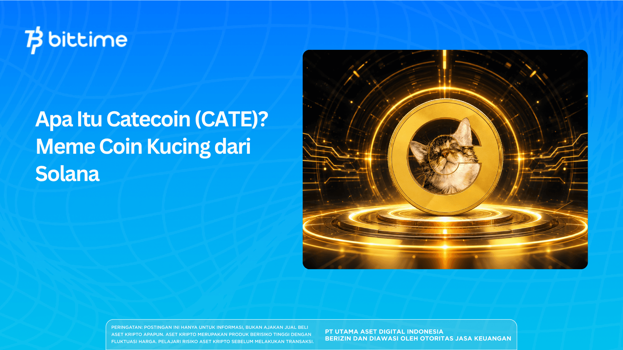 What Is Catecoin (CATE)? Solana's Cat Meme Coin