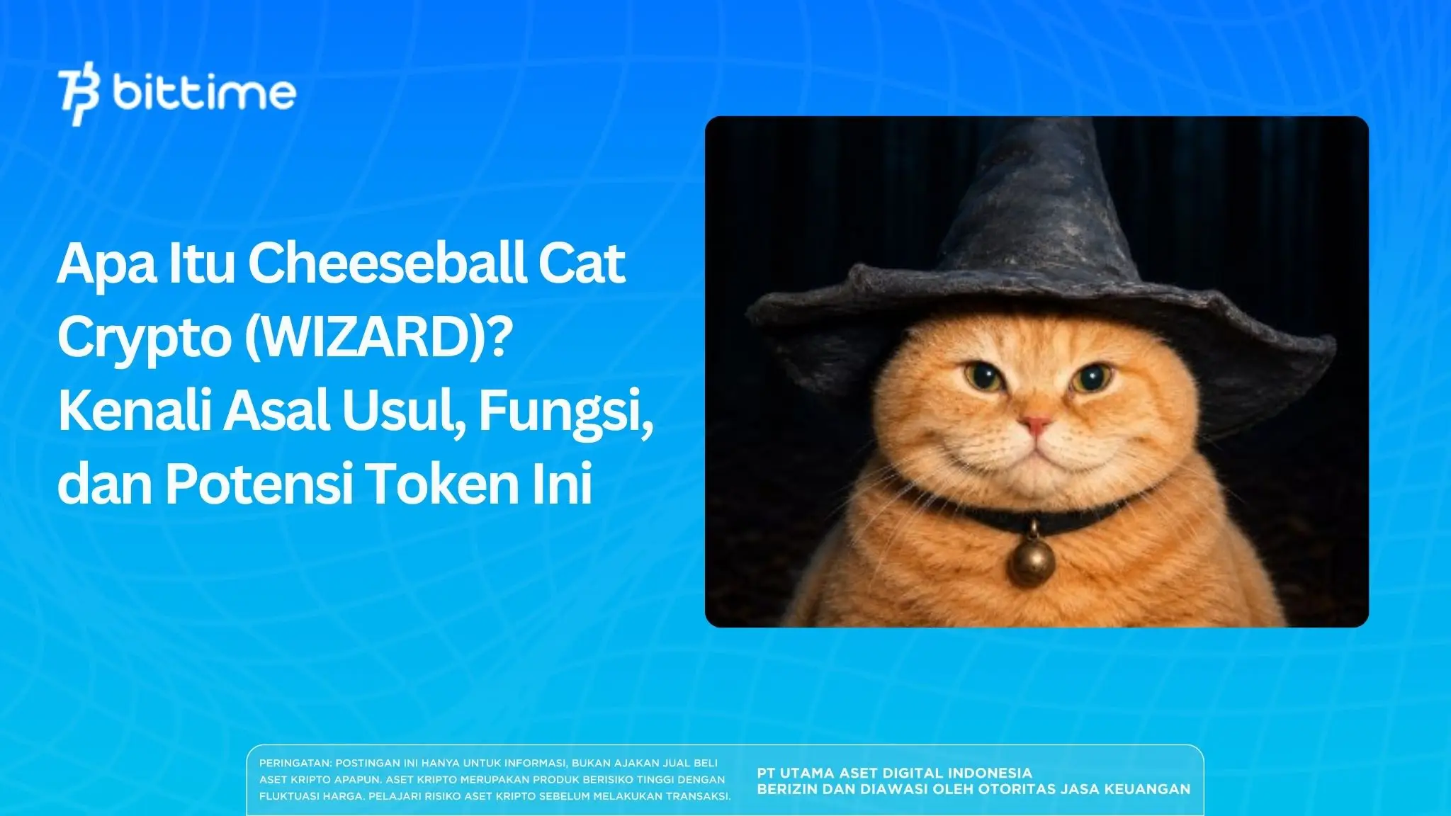 Apa Itu Cheeseball Cat Crypto (WIZARD)?