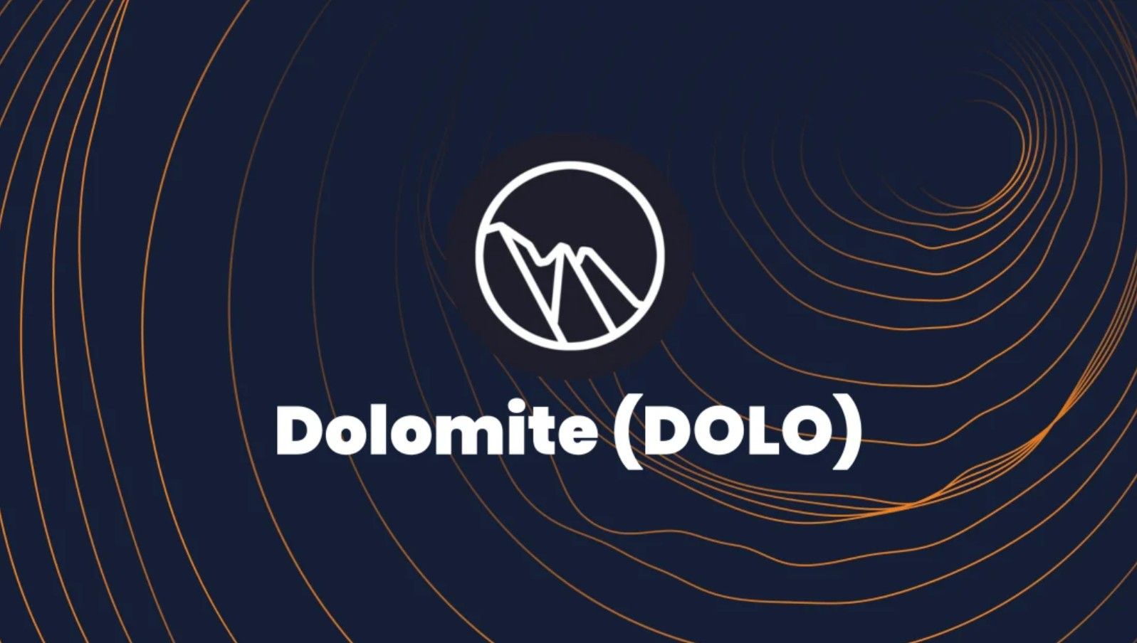 Apa Itu Dolo Crypto.