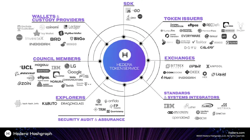 Apa Itu Hedera Hashgraph.webp