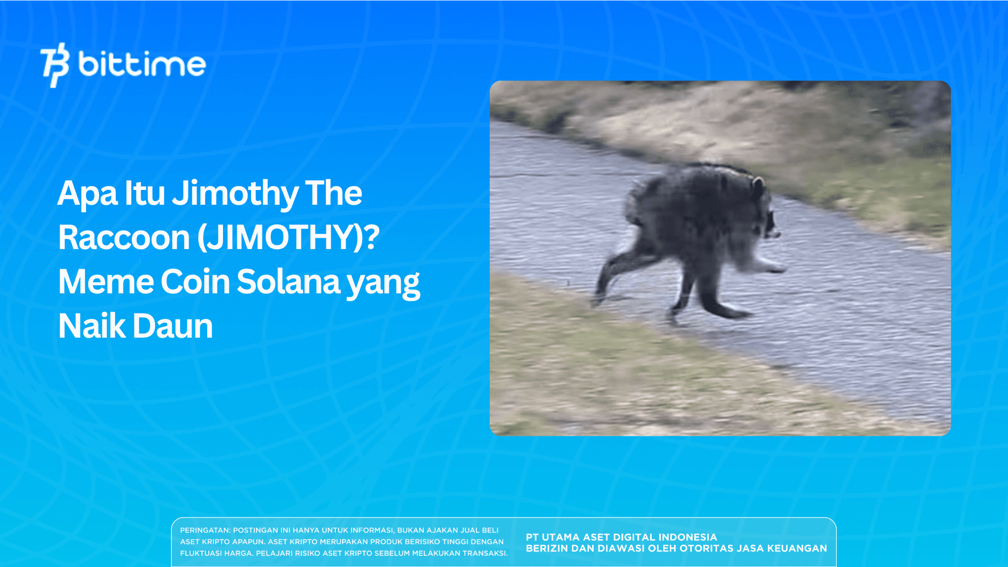 What Is Jimothy the Raccoon (JIMOTHY)? The Rising Solana Meme Coin