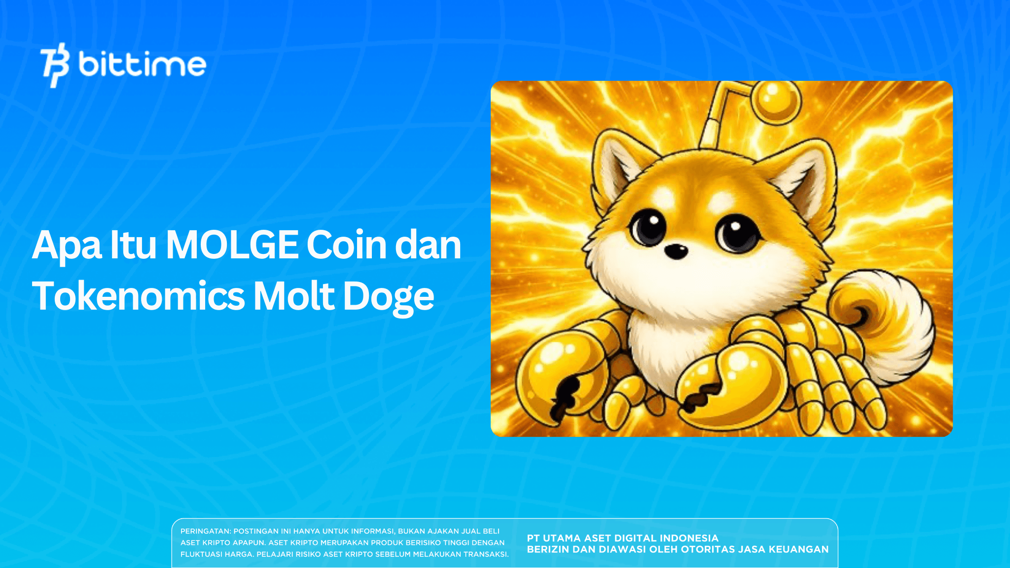 Apa Itu MOLGE Coin dan Tokenomics Molt Doge