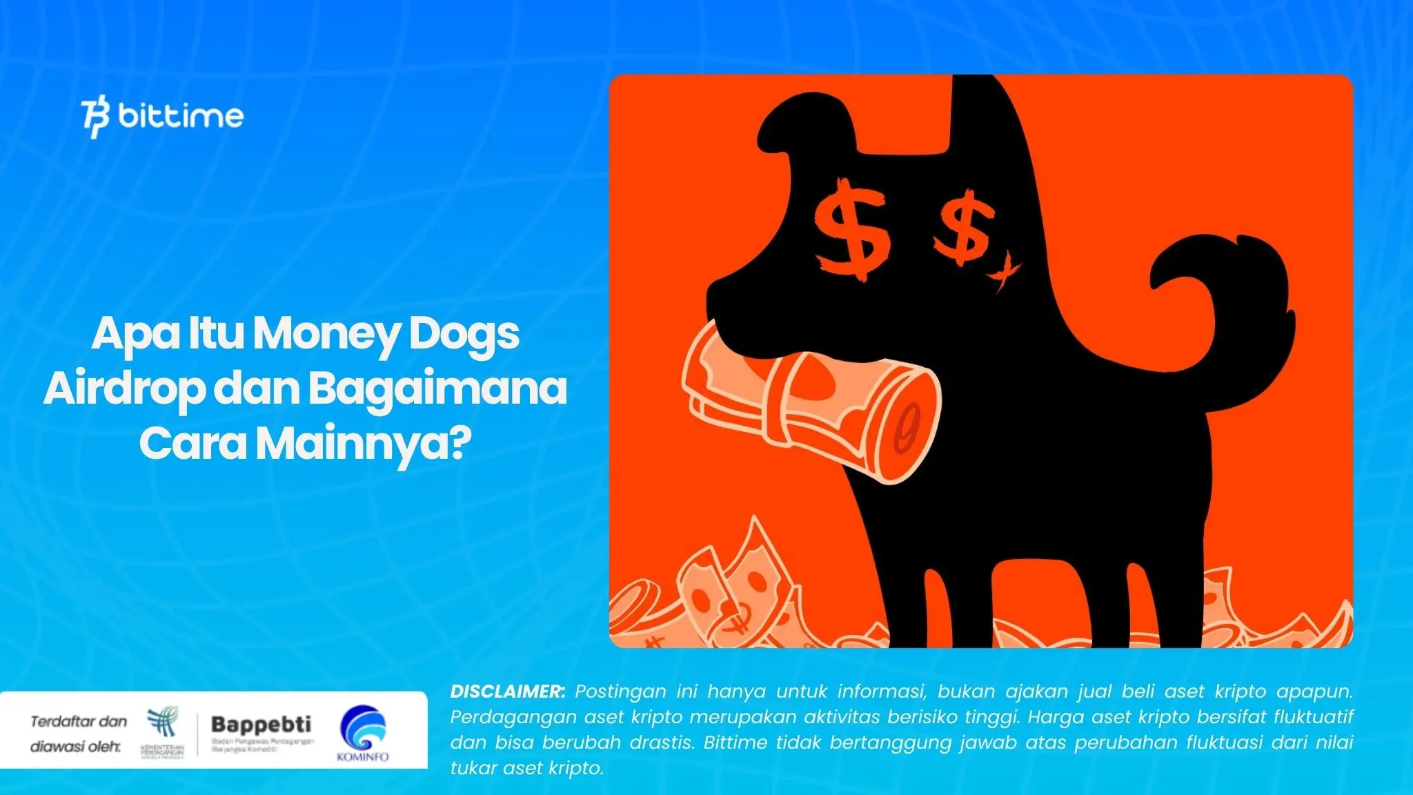 Apa Itu Money Dogs Airdrop dan Bagaimana Cara Mainnya.webp