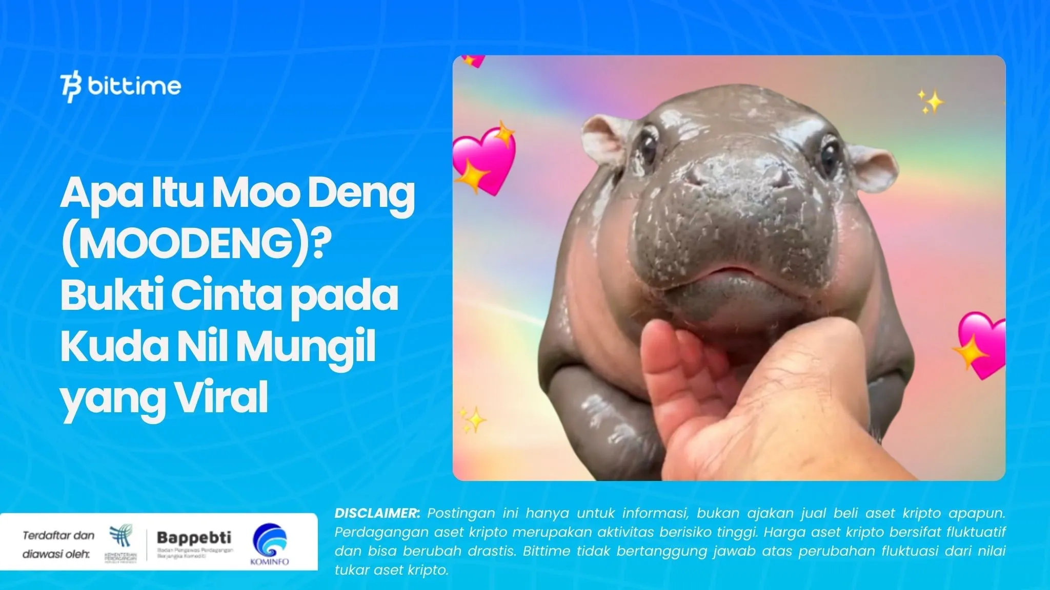 Apa Itu Moo Deng (MOODENG) Bukti Cinta pada Kuda Nil Mungil yang Viral