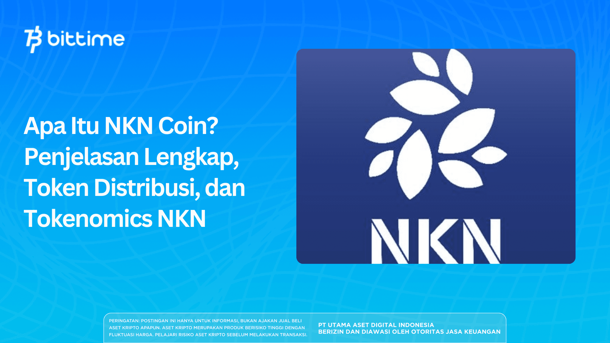 Apa Itu NKN Coin? Penjelasan Lengkap, Token Distribusi, dan Tokenomics NKN