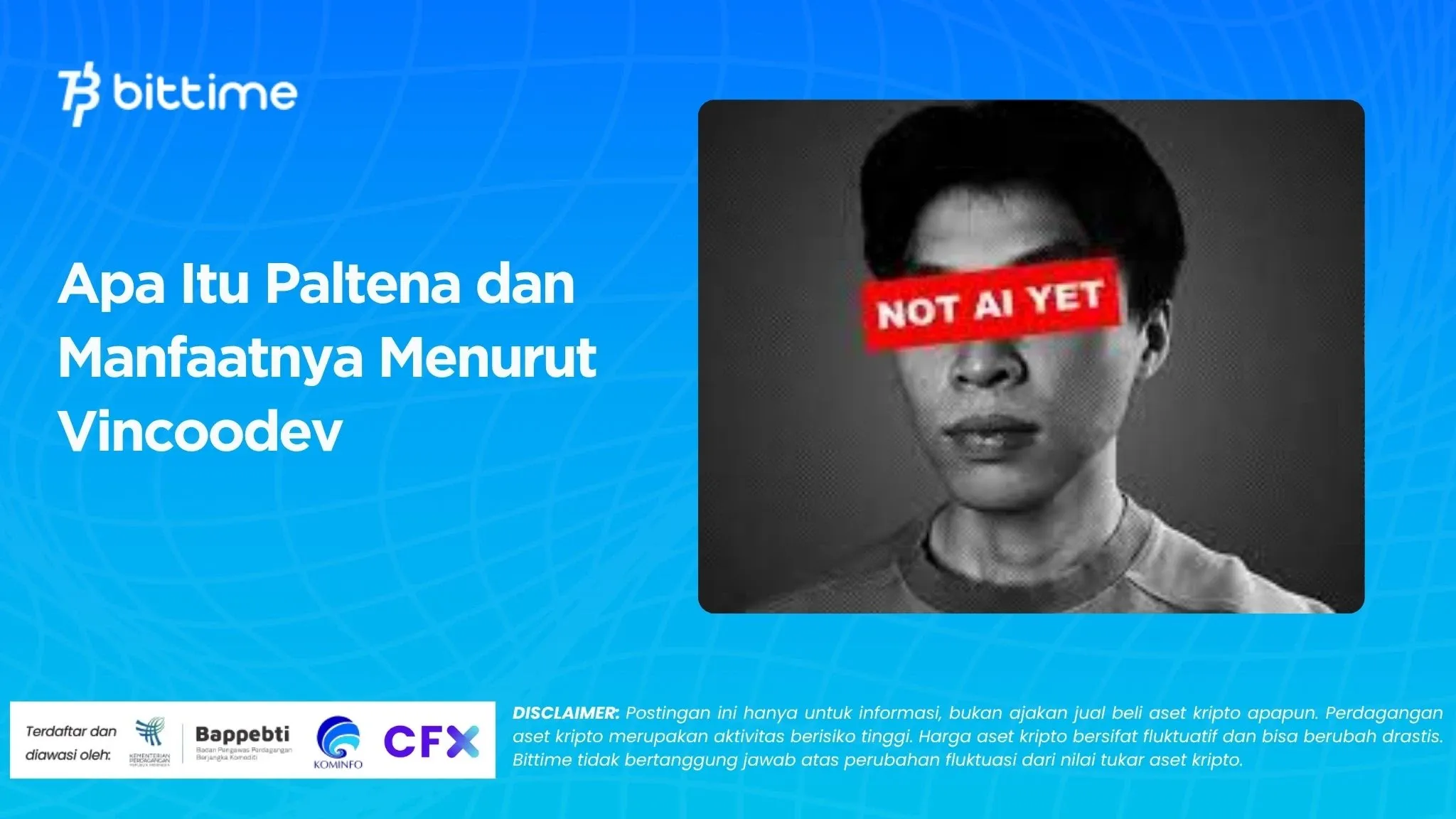 Apa Itu Paltena dan Manfaatnya Menurut Vincoodev