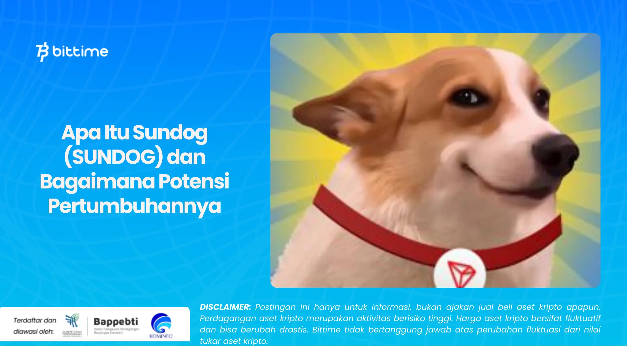 Apa Itu Sundog.webp