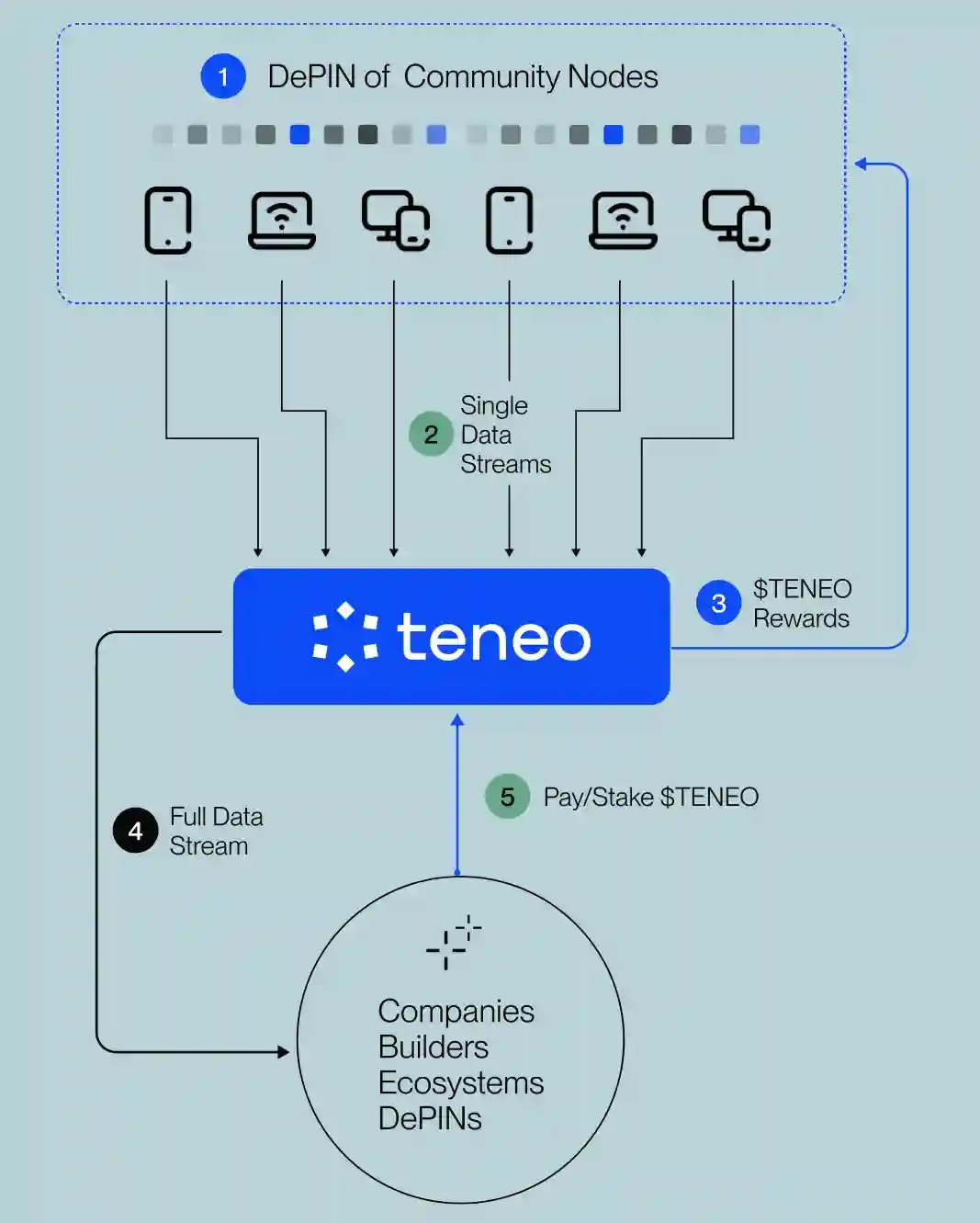 Apa Itu Teneo Airdrop - Teneo Nodes.webp