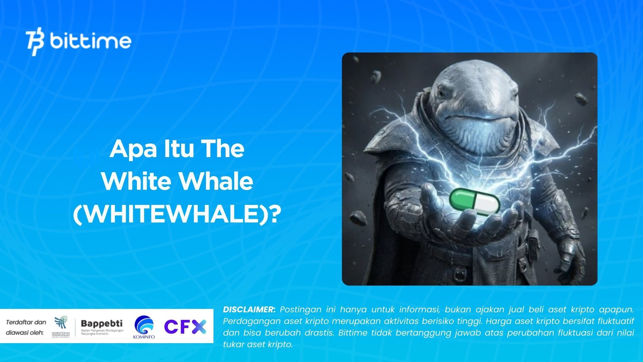 Apa Itu The White Whale (WHITEWHALE)?