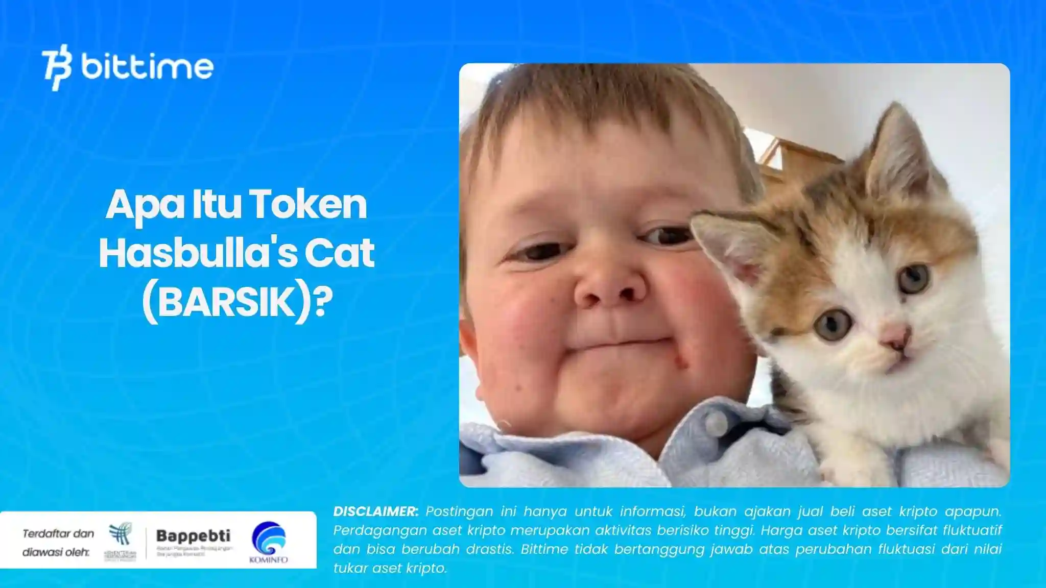 Apa Itu Token Hasbulla's Cat (BARSIK).webp