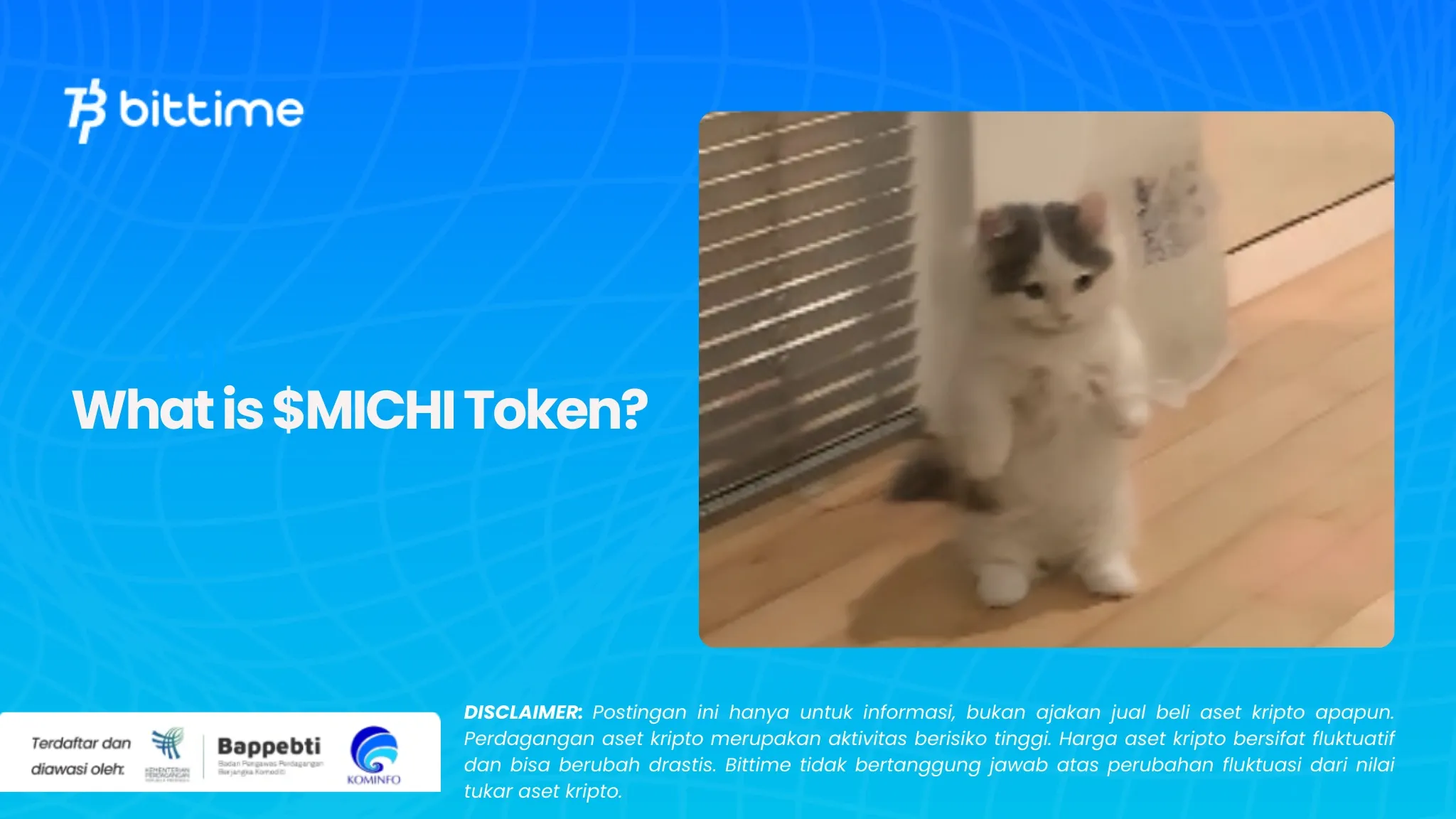 Apa Itu Token $MICHI (1).webp