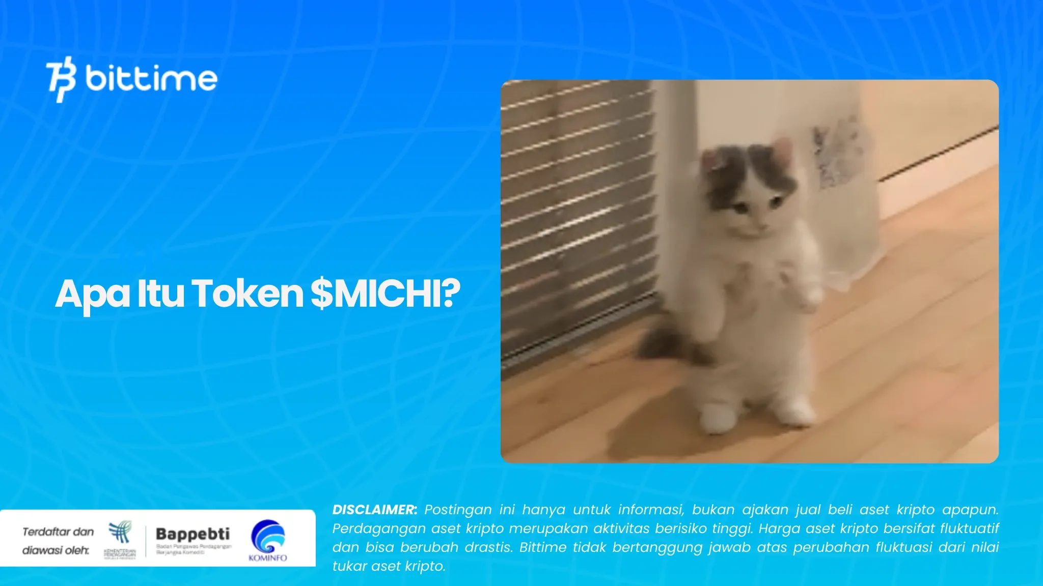 Apa Itu Token $MICHI.webp