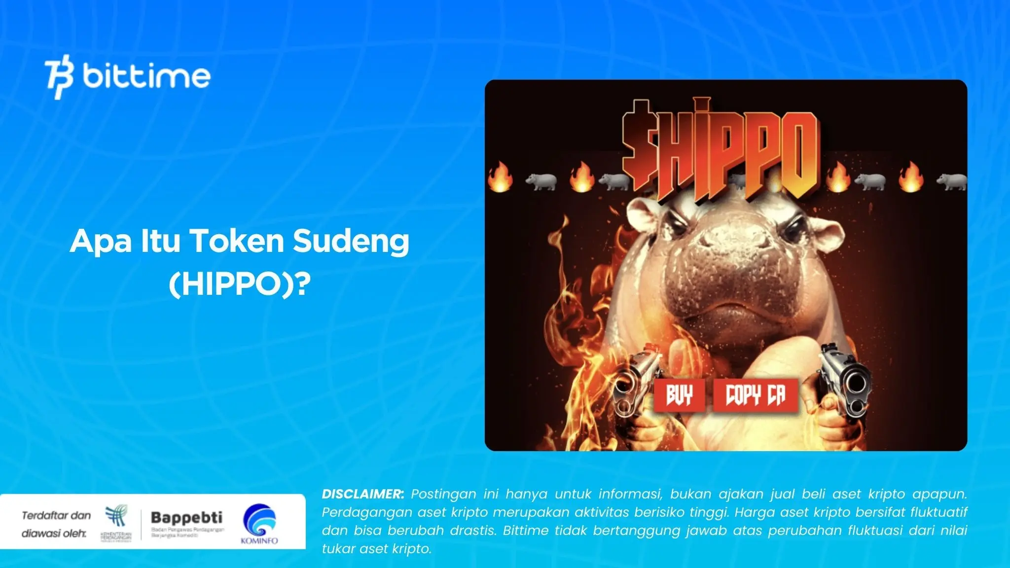 Apa Itu Token Sudeng (HIPPO).webp