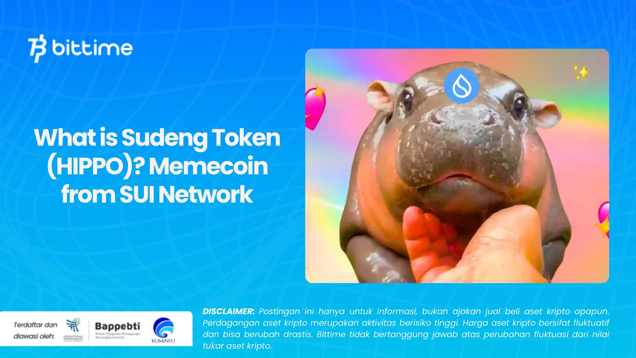 Apa Itu Token Sudeng (HIPPO) Memecoin dari Jaringan SUI (1).webp