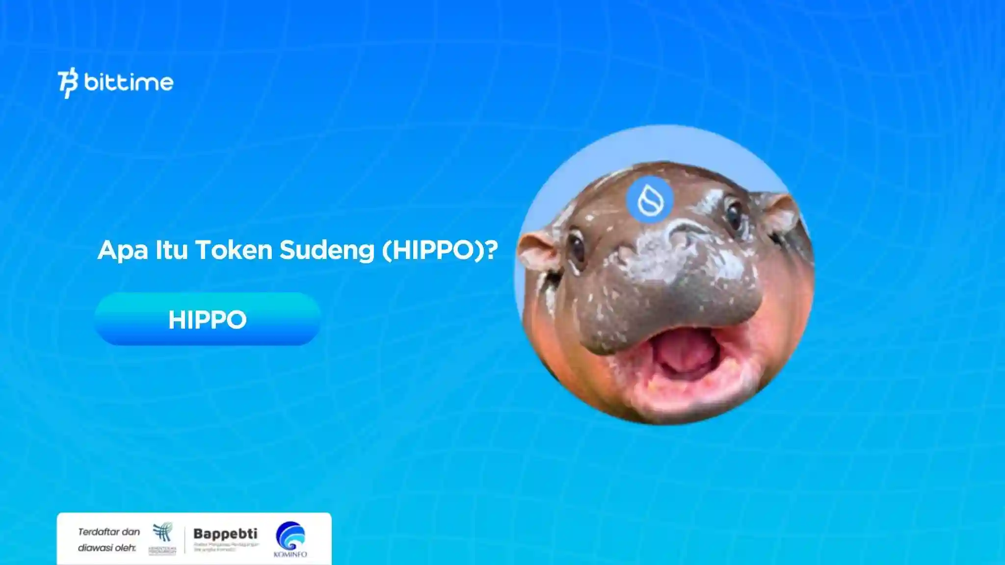 Apa Itu Token Sudeng (HIPPO).webp