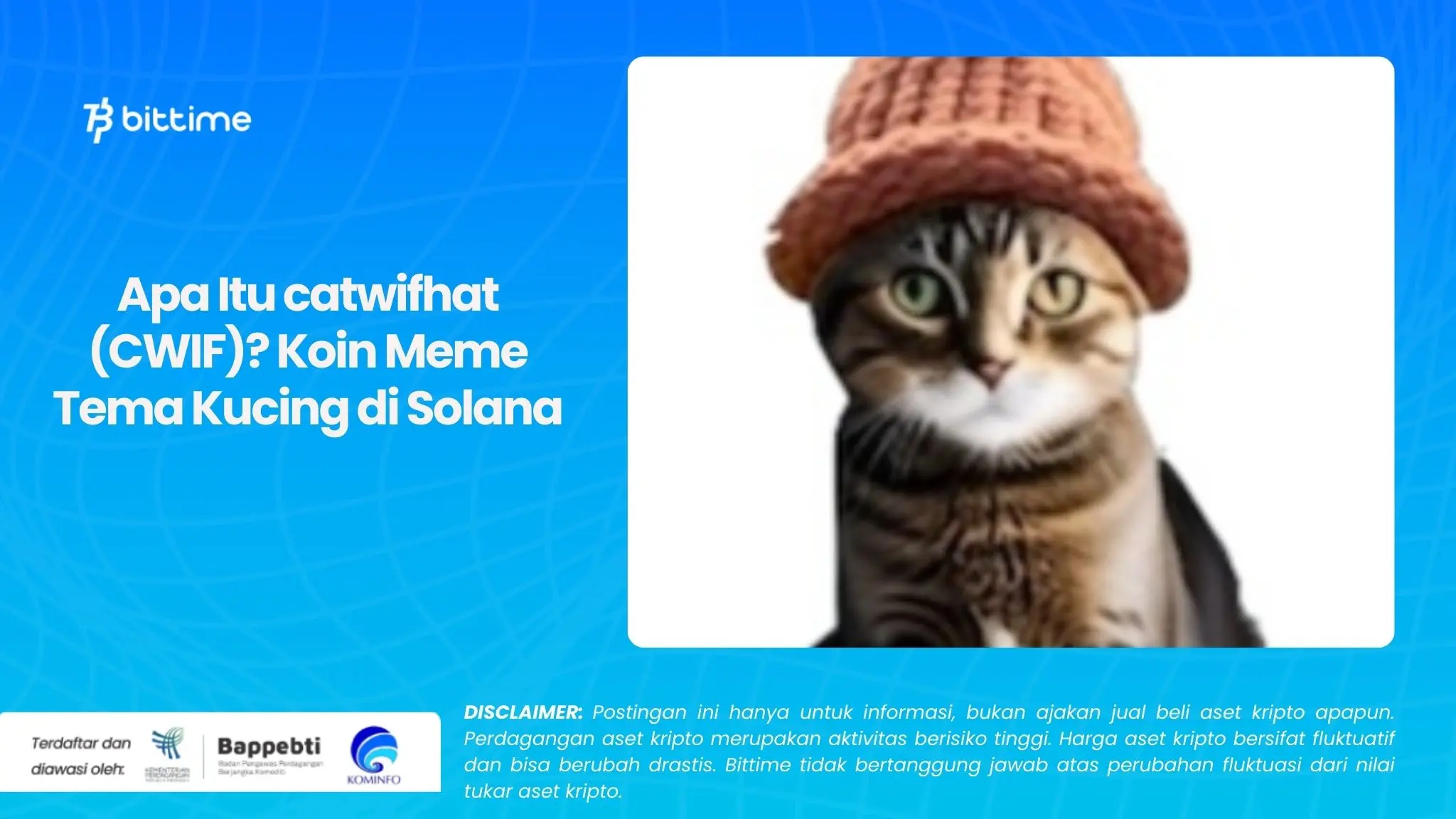 Apa Itu catwifhat (CWIF) Koin Meme Tema Kucing di Solana.webp