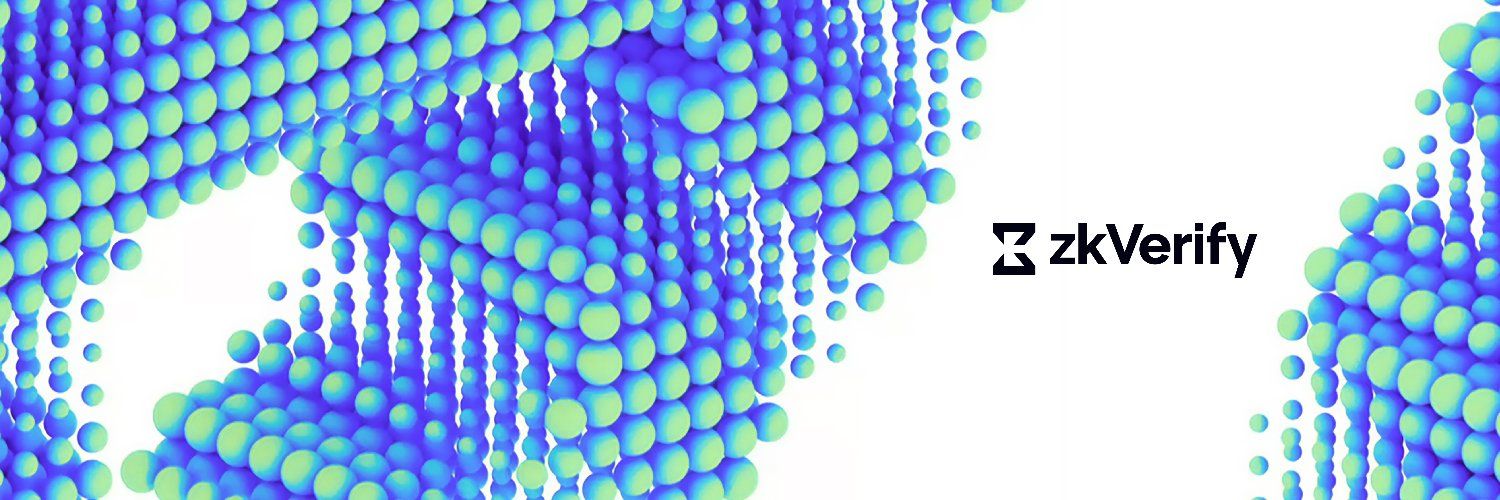Apa Itu zkVerify (VFY)