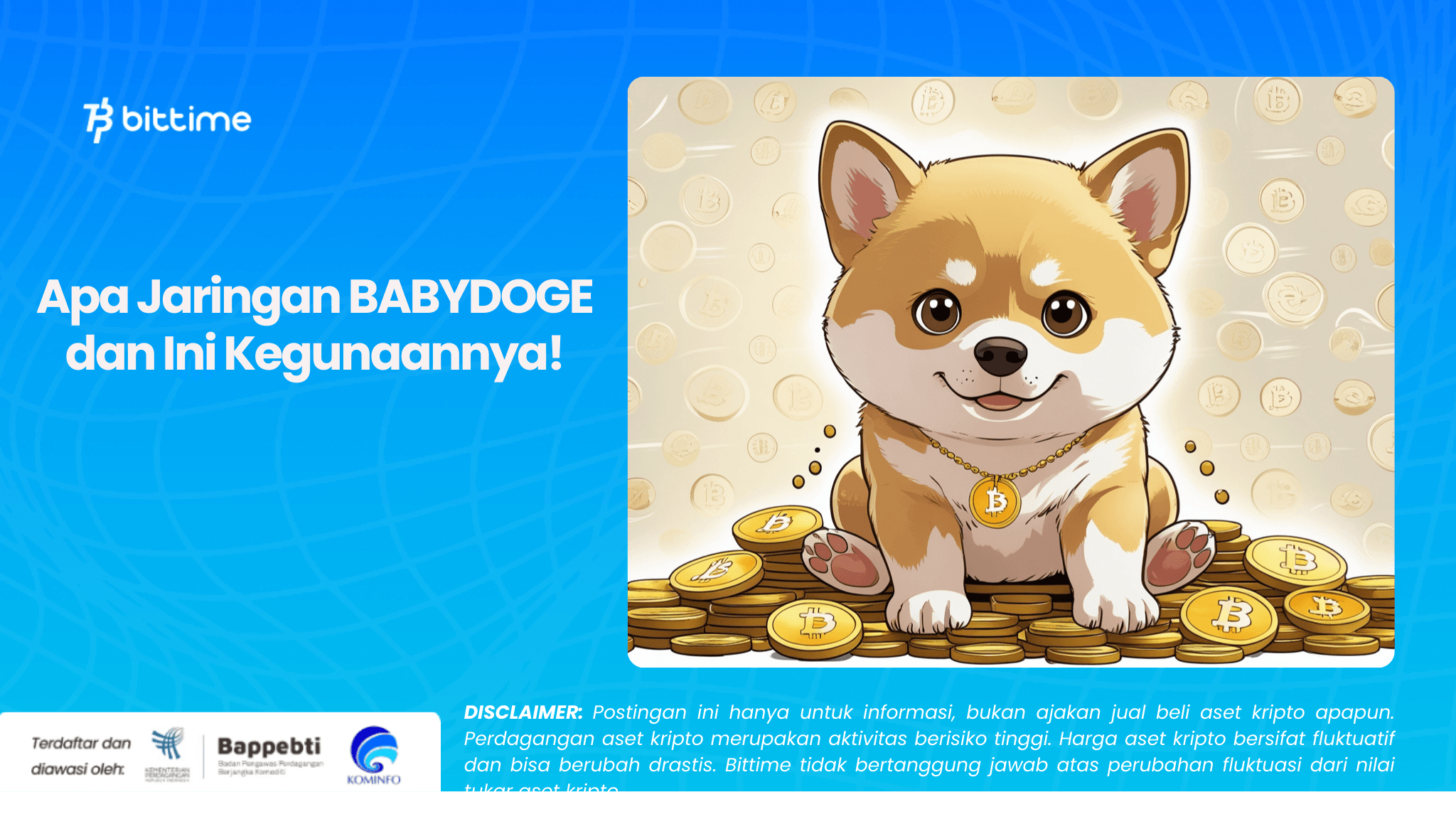 Apa Jaringan BABYDOGE dan Ini Kegunaannya!.png