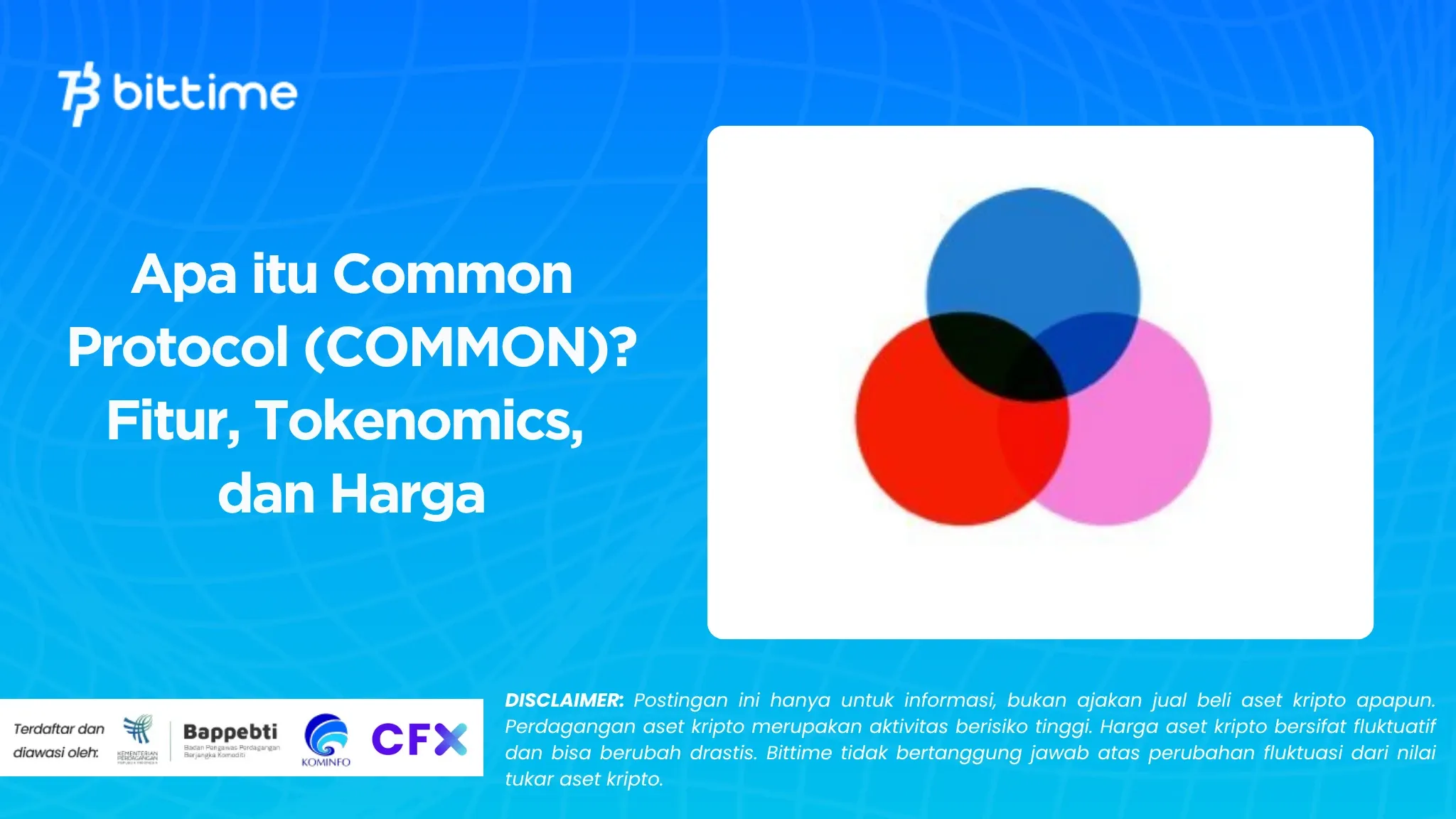 Apa itu Common Protocol (COMMON)