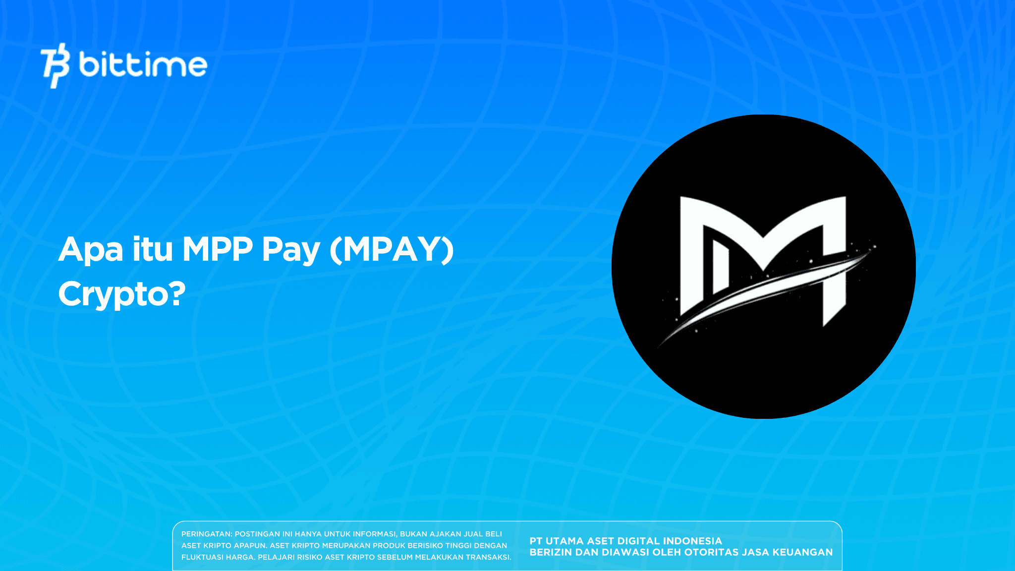 Apa itu MPP Pay (MPAY) Crypto?