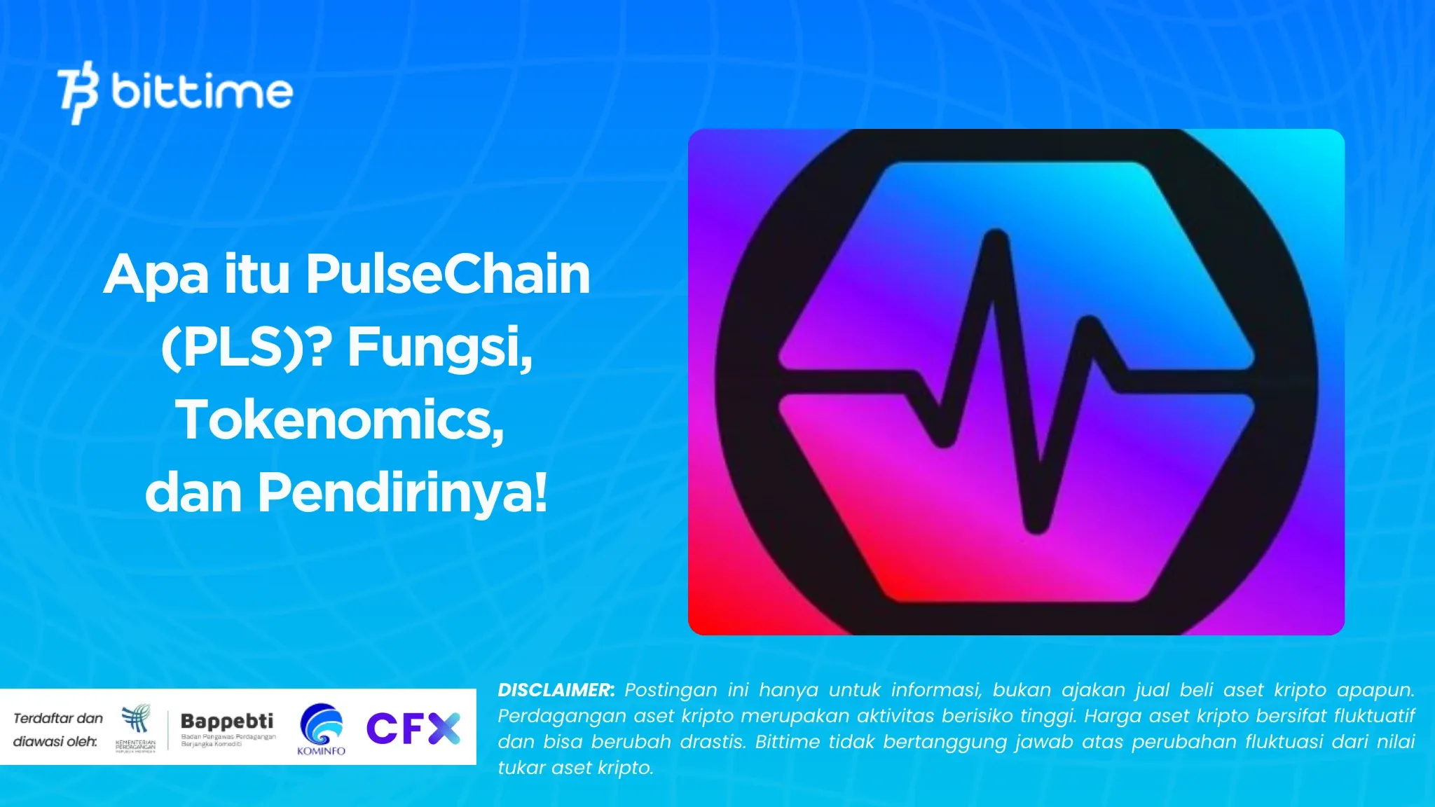 Apa itu PulseChain (PLS)