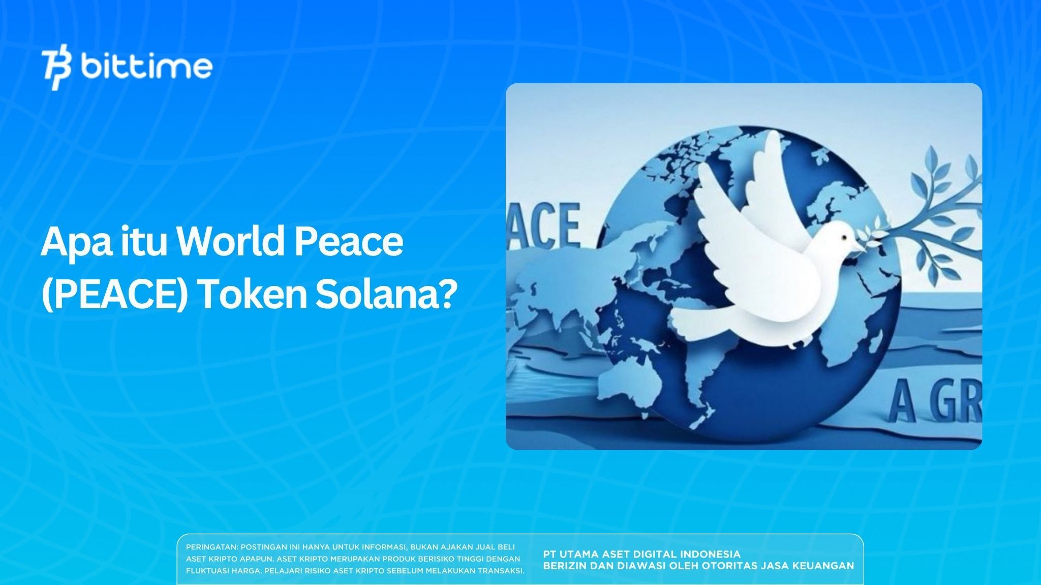 What is the Solana World Peace (PEACE) Token?