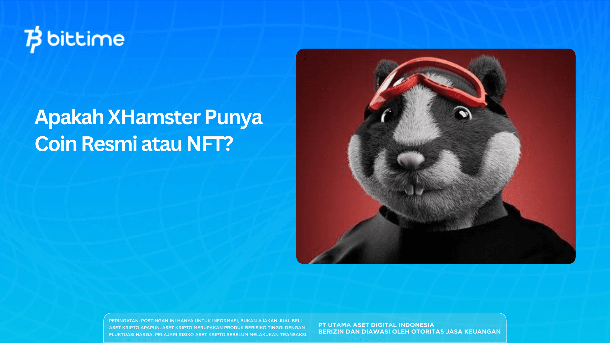 Apakah XHamster Punya Coin Resmi atau NFT?