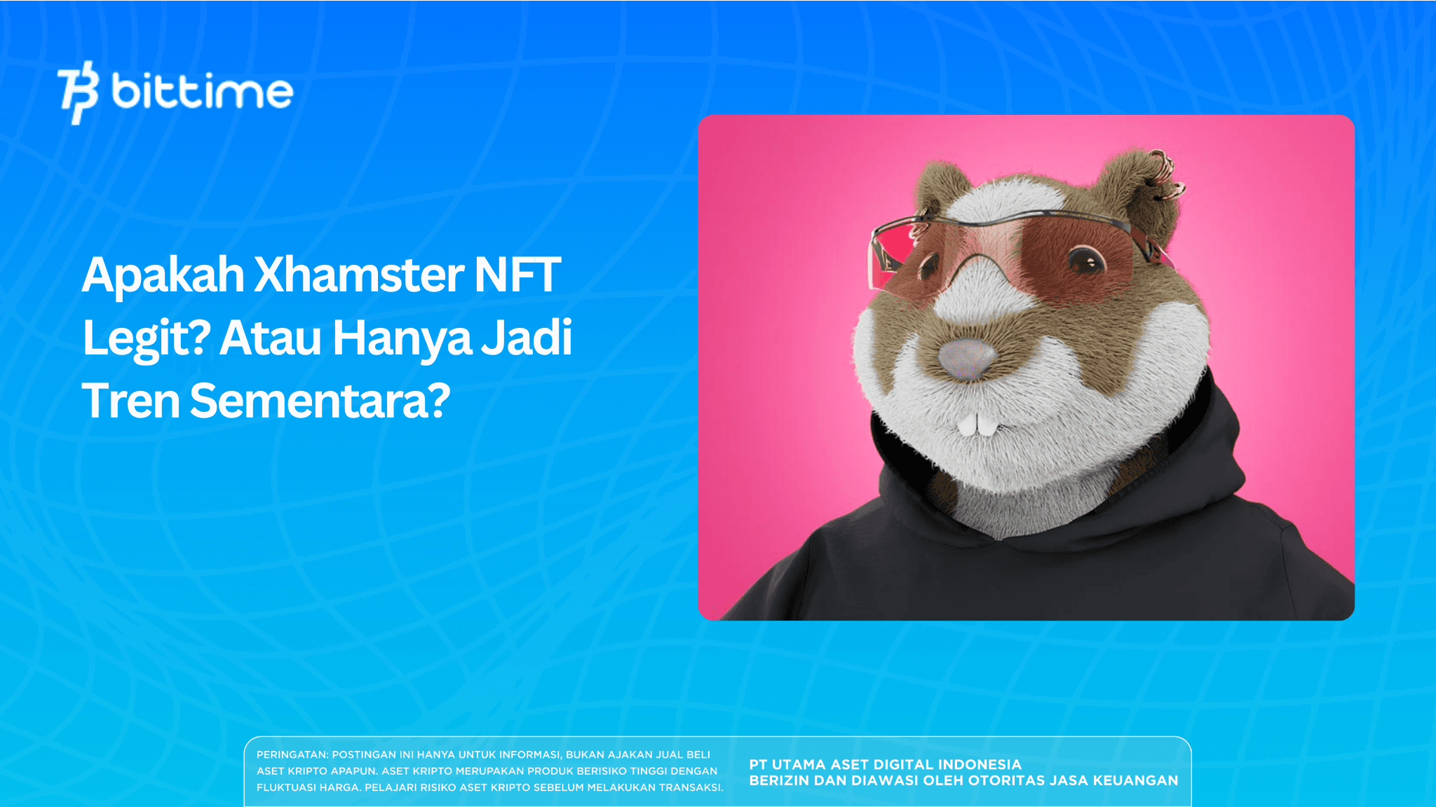Apakah Xhamster NFT Legit? Atau Hanya Jadi Tren Sementara?