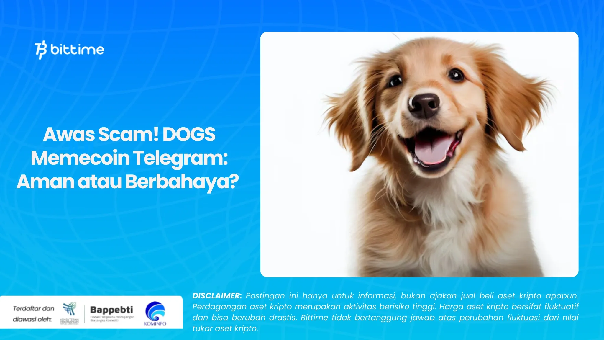 Awas Scam! DOGS Memecoin Telegram Aman atau Berbahaya .webp