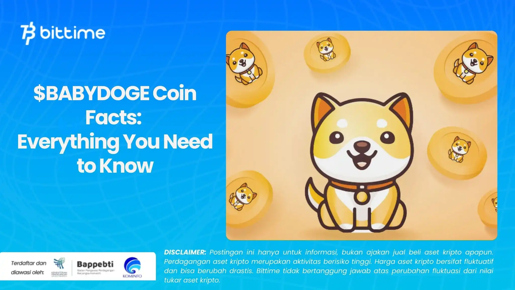 $BABYDOGE Coin Facts Everything You Need to Know.webp