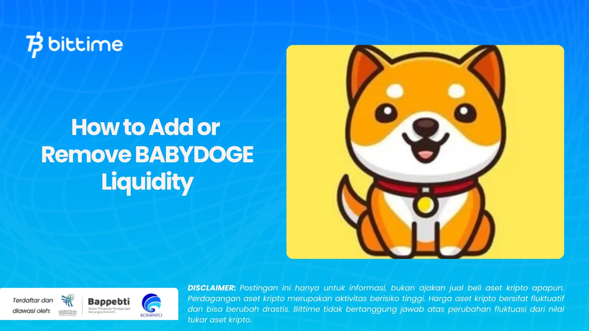 How to Add or Remove BABYDOGE Liquidity