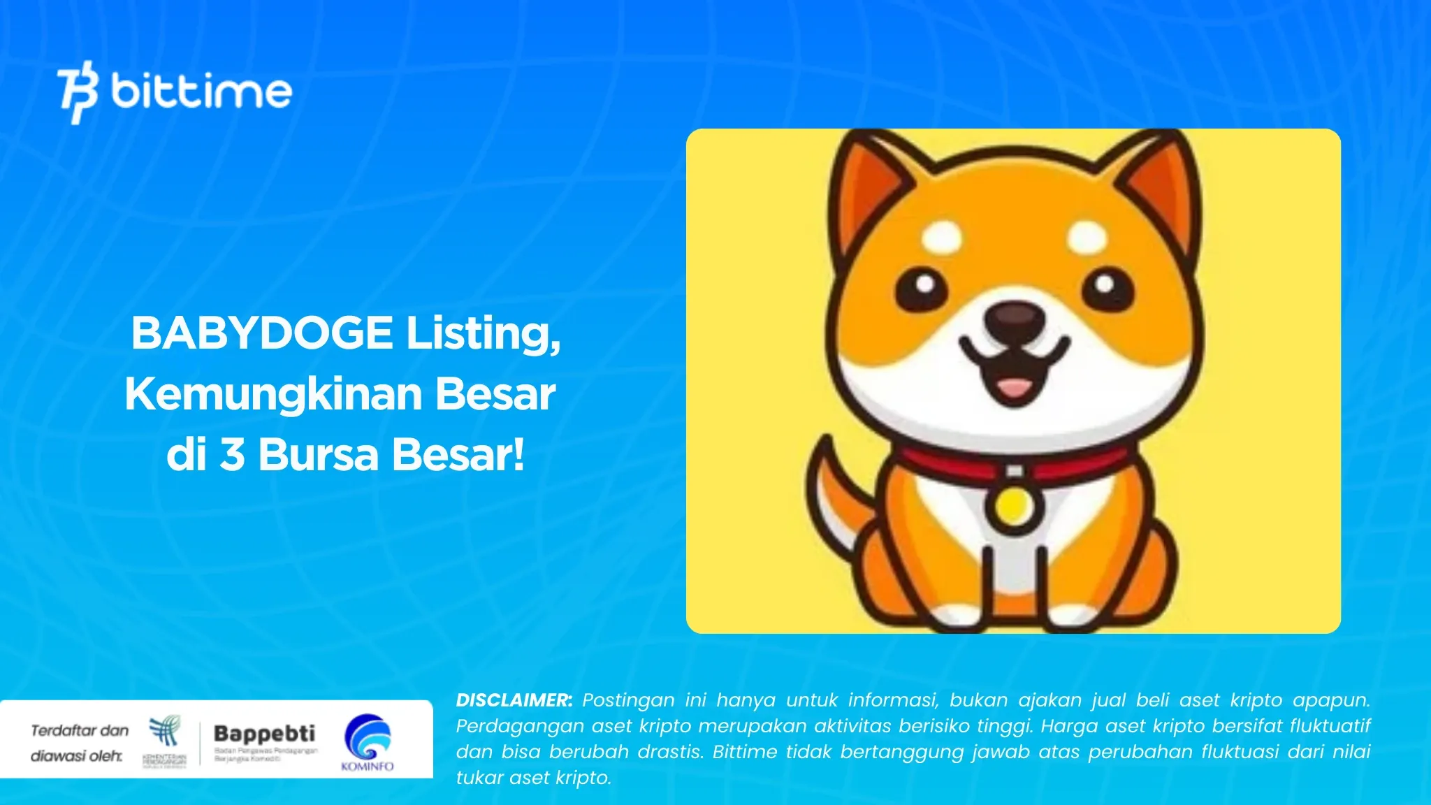 BABYDOGE Listing, Kemungkinan Besar di 3 Bursa Besar!