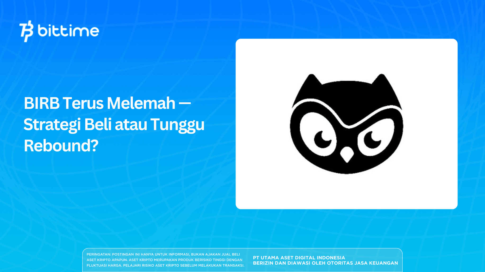 BIRB Terus Melemah — Strategi Beli atau Tunggu Rebound?