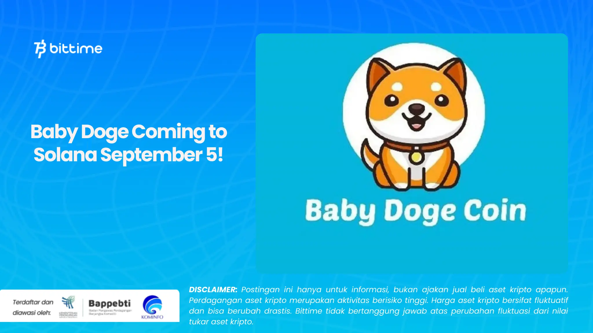 Baby Doge Coming to Solana September 5!