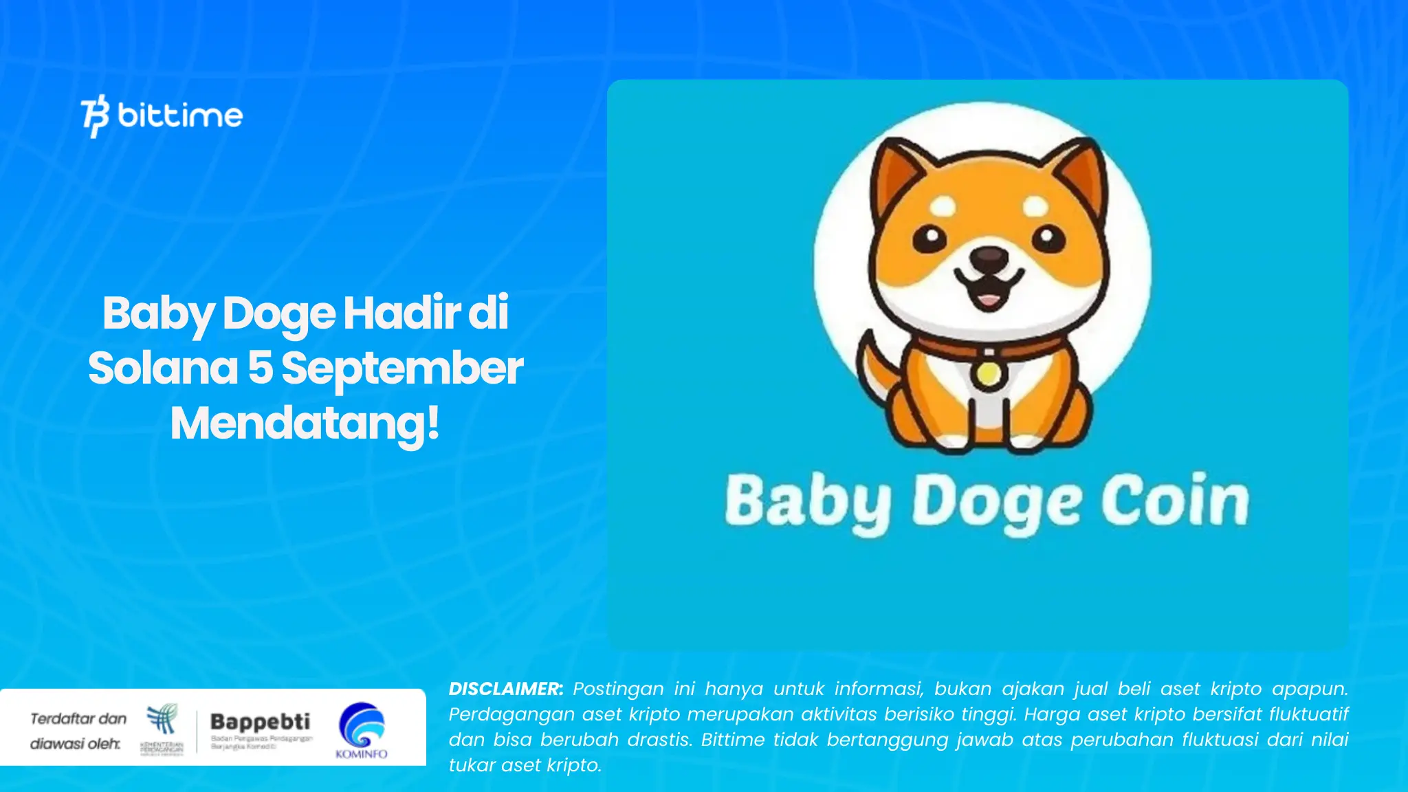 Baby Doge Hadir di Solana 5 September Mendatang!