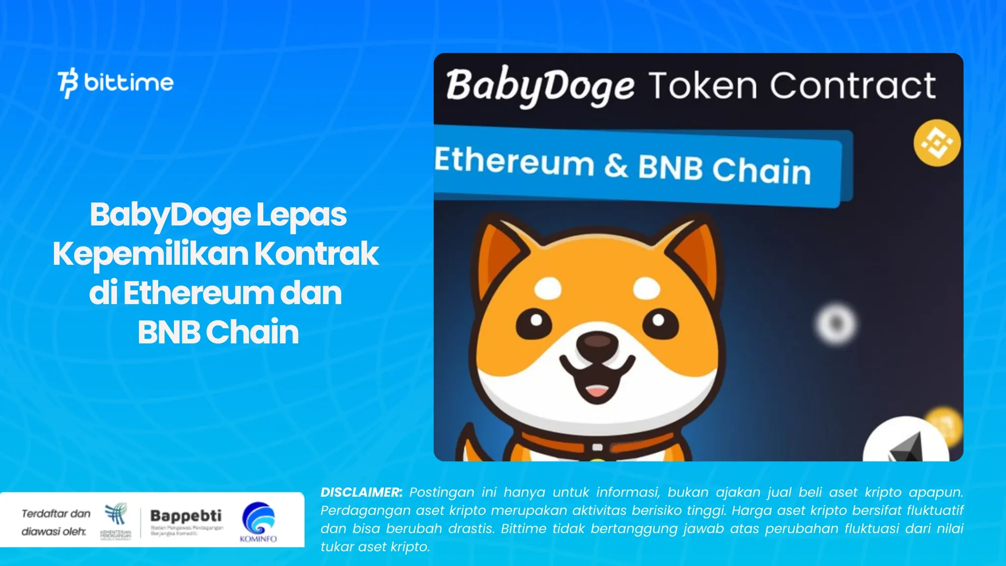 BabyDoge Lepas Kepemilikan Kontrak