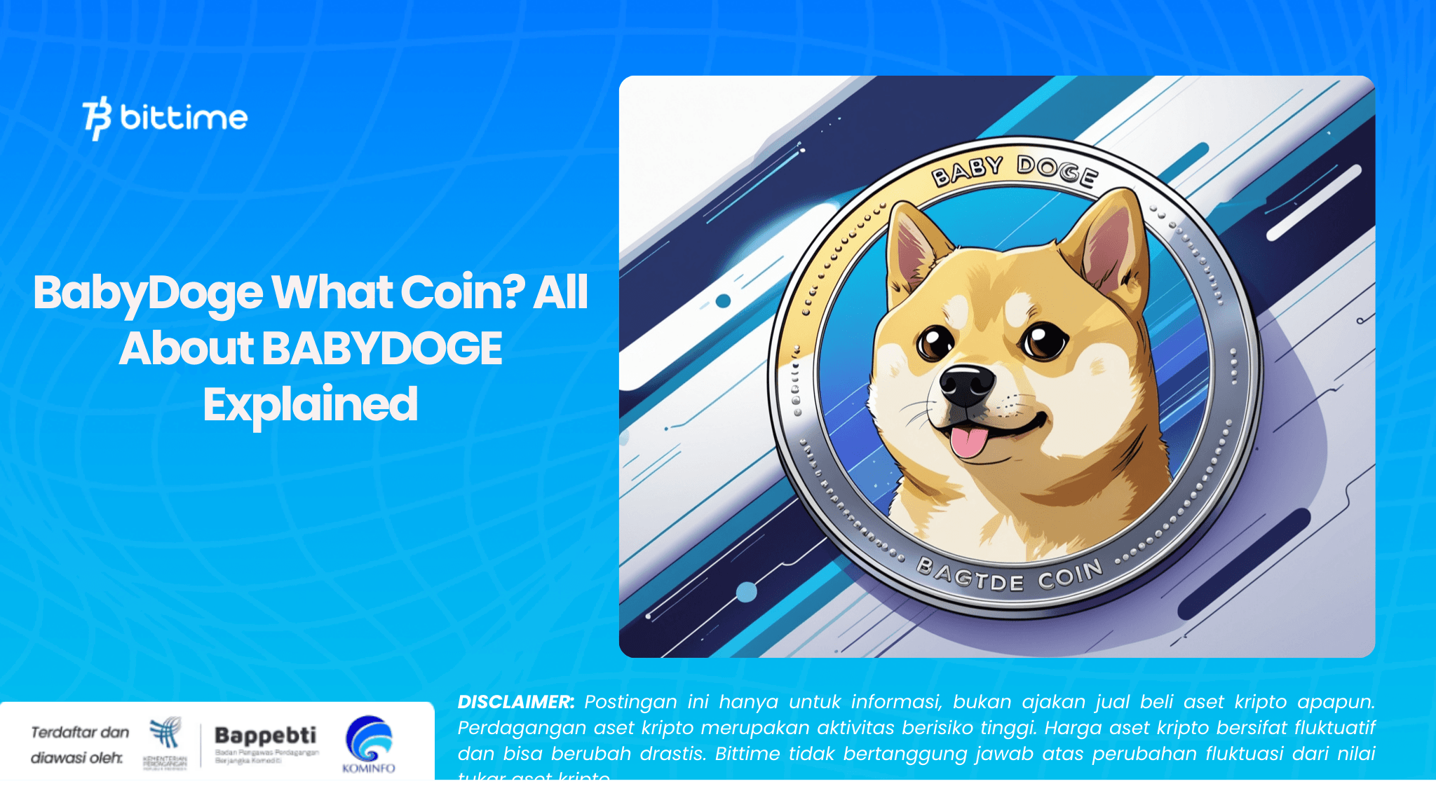 BabyDoge What Coin All About BABYDOGE Explained.png