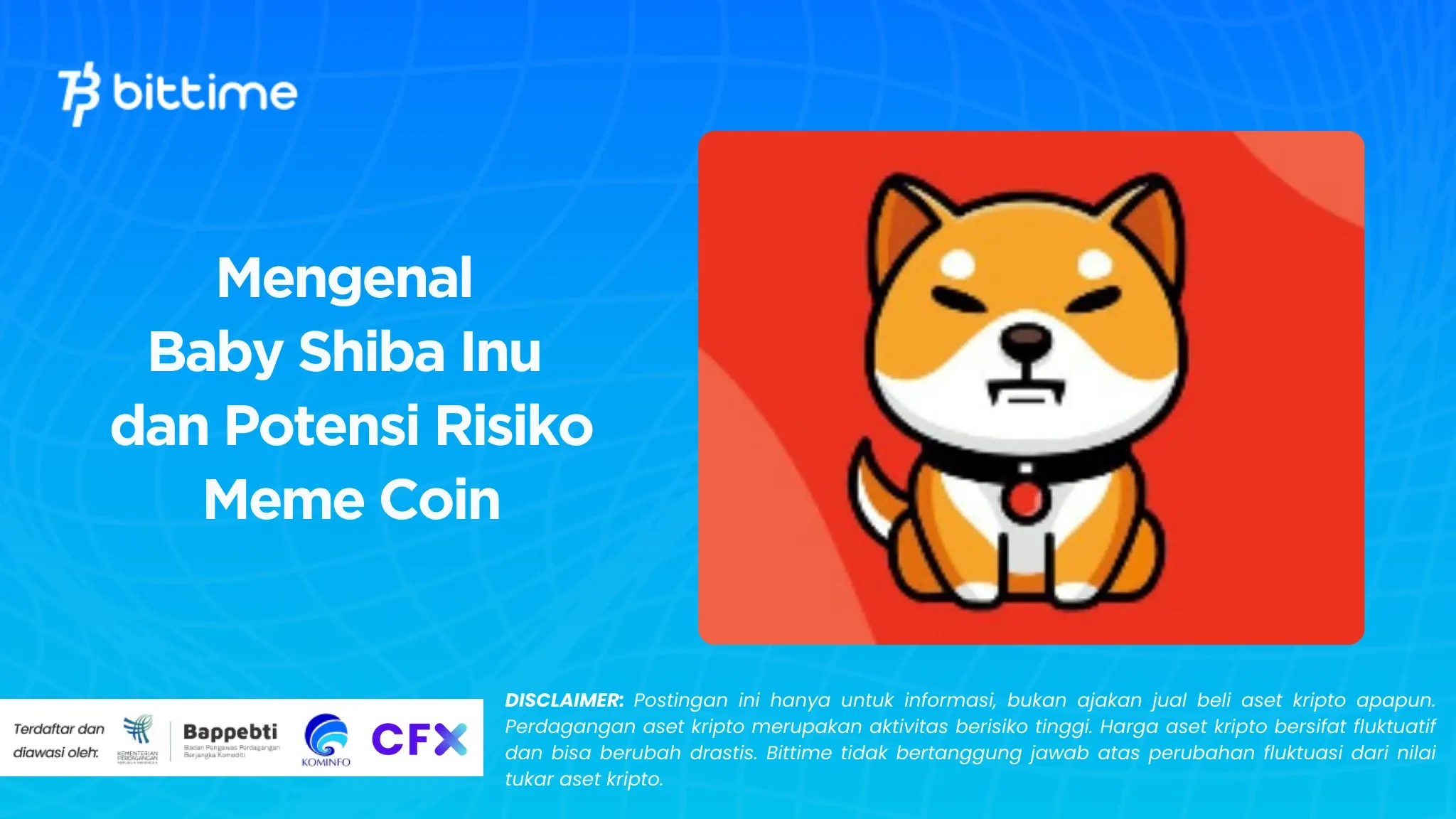Baby Shiba Inu, Risiko Meme Coin